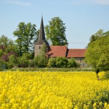 Apa Arti Brexit Bagi Pertanian Negara Inggris?