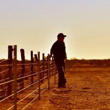 Pertanian Australia Yang Berkelanjutan Akan Melindungi Ekspor